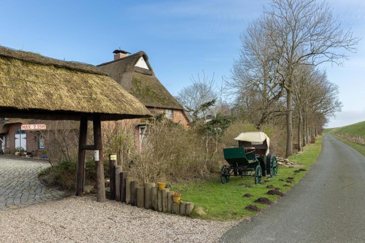 Deichmuschel Villa Woehrden Buitenkant foto